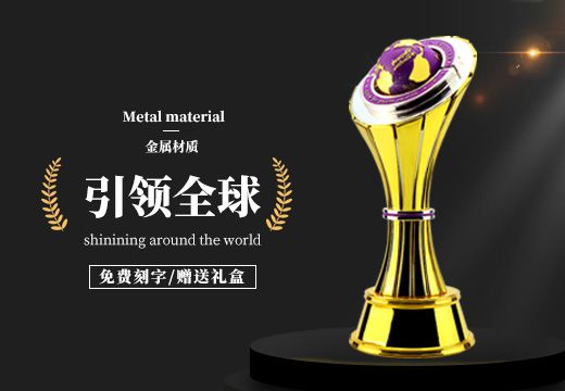 金屬引領(lǐng)全球創(chuàng)意獎杯定制